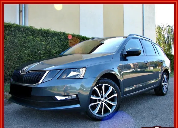 warmińsko-mazurskie Skoda Octavia cena 54900 przebieg: 220000, rok produkcji 2019 z Elbląg